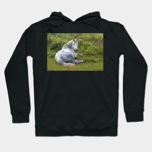 Pony Hoodie